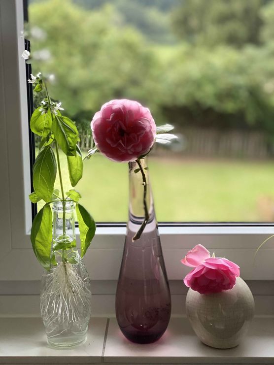 Bild von niveafun Bild von niveafun