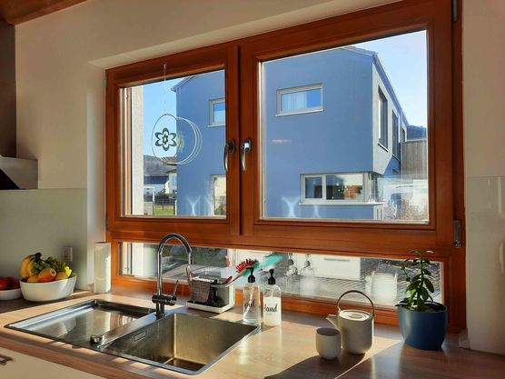 Bild von mondenblume Bild von mondenblume