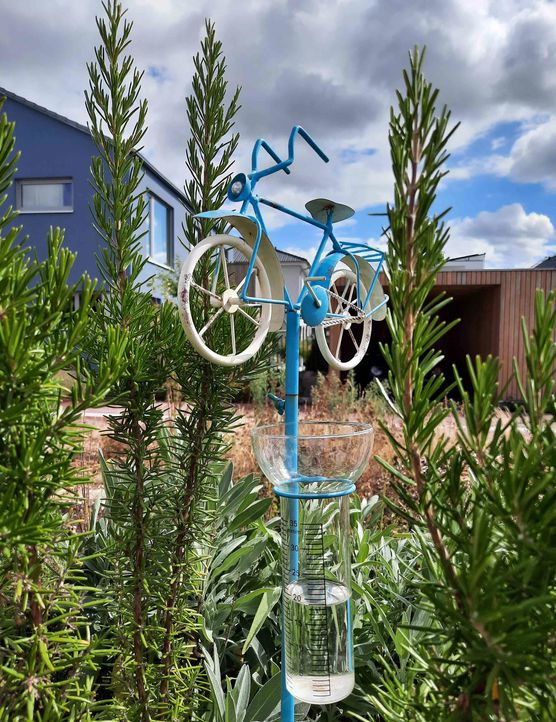 Bild von mondenblume Bild von mondenblume