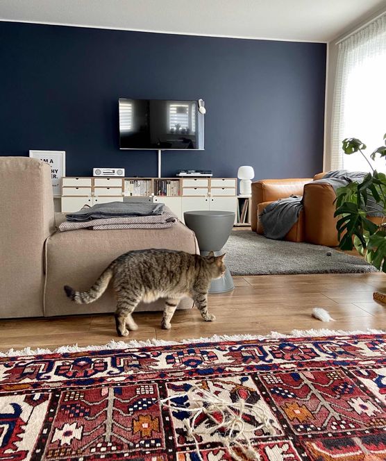 Bild von watering Bild von watering