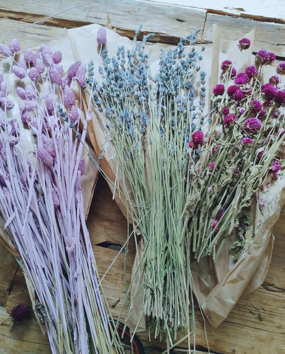 Bild von Resis Zuhause Bild von Resis Zuhause