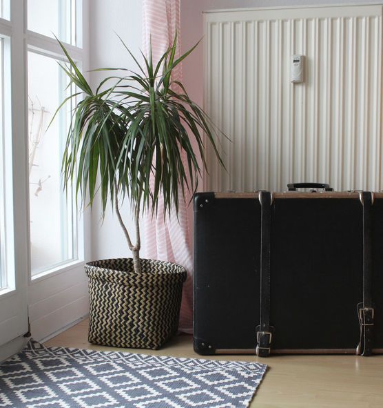 Fundstück Koffer - Lust auf Reisen? Fundstück Koffer - Lust auf Reisen?