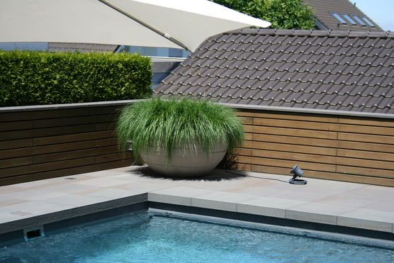 Mein aller liebster Blumenkübel! Mein aller liebster Blumenkübel!