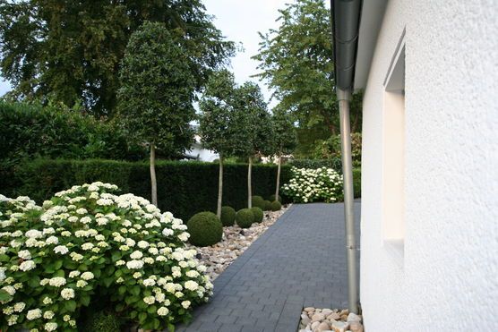 Wenn ich nach Hause komme... Wenn ich nach Hause komme...