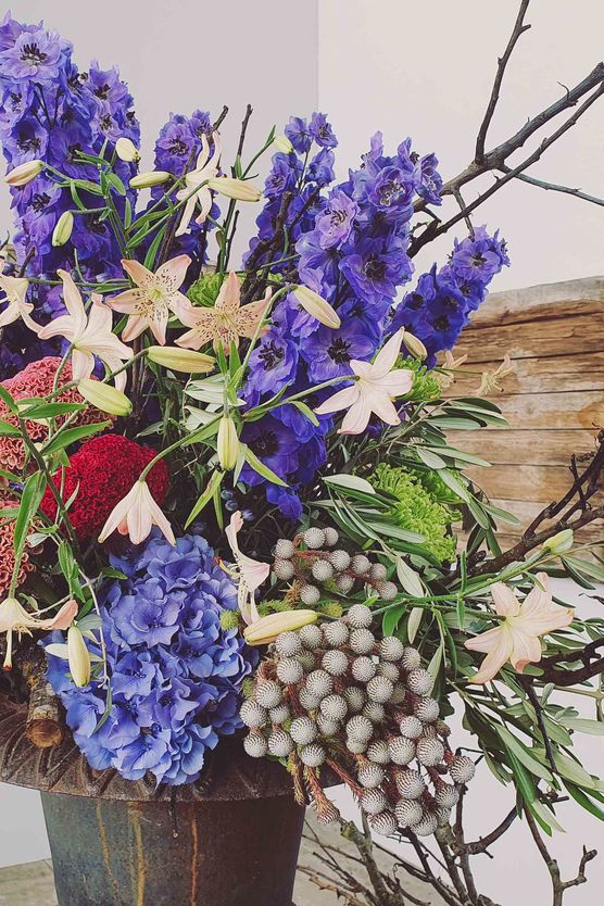 Bild von Robert Nasseide Bild von Robert Nasseide