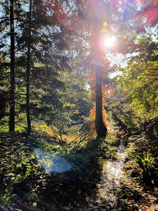 Bild von Robert Nasseide Bild von Robert Nasseide