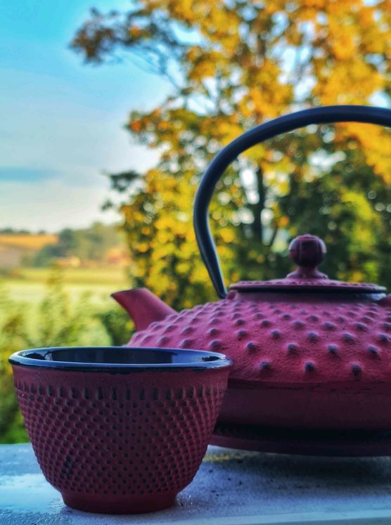 Bild von Sebastian Stahl Bild von Sebastian Stahl