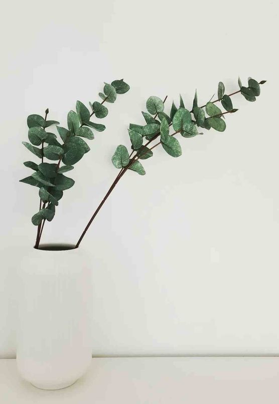 Bild von Sebastian Stahl Bild von Sebastian Stahl