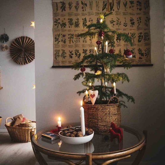 Bild von Zimtschnecke_1980 Bild von Zimtschnecke_1980