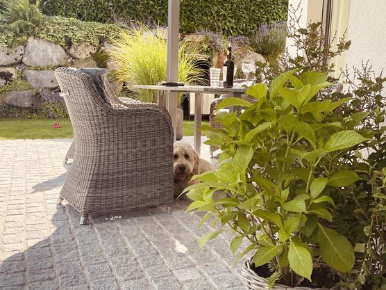 Bild von beatrice71 Bild von beatrice71