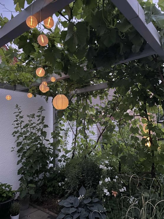 Bild von FaBiene Chérie Bild von FaBiene Chérie