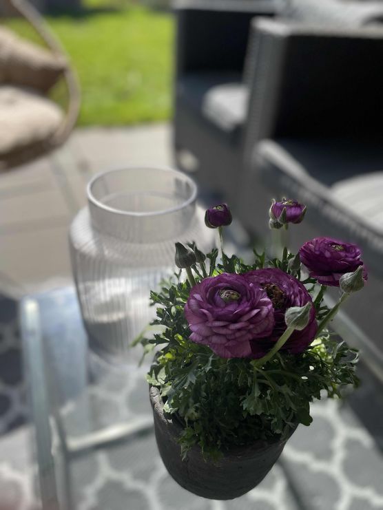 Bild von FaBiene Chérie Bild von FaBiene Chérie