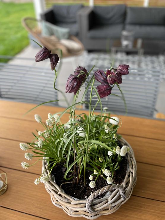 Bild von FaBiene Chérie Bild von FaBiene Chérie