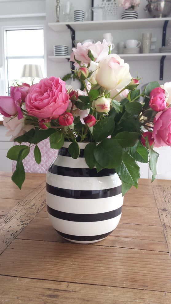 Eine Rose ist eine Rose, ist eine Rose........ Eine Rose ist eine Rose, ist eine Rose........