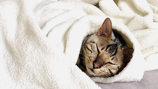 Bild von Pati Palazzo Bild von Pati Palazzo