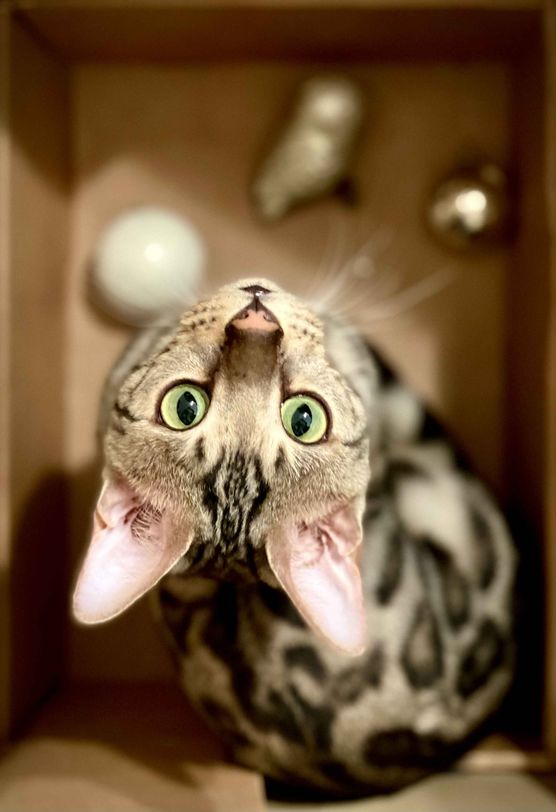 Bild von Pati Palazzo Bild von Pati Palazzo