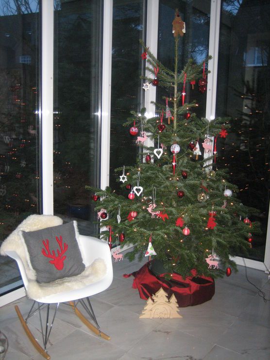 Das ist unser Weihnachtsbaum vom letzten Jahr! Das ist unser Weihnachtsbaum vom letzten Jahr!