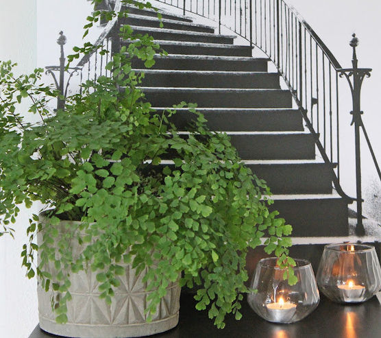 Das Bild habe ich Das Bild habe ich