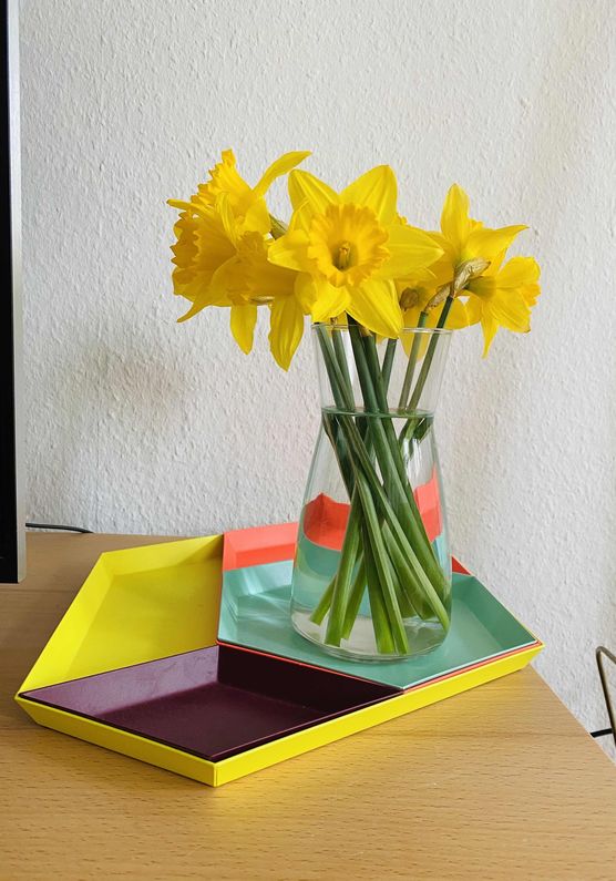 Bild von Luma1316 Bild von Luma1316