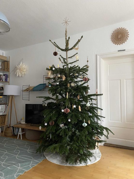 Bild von Luma1316 Bild von Luma1316