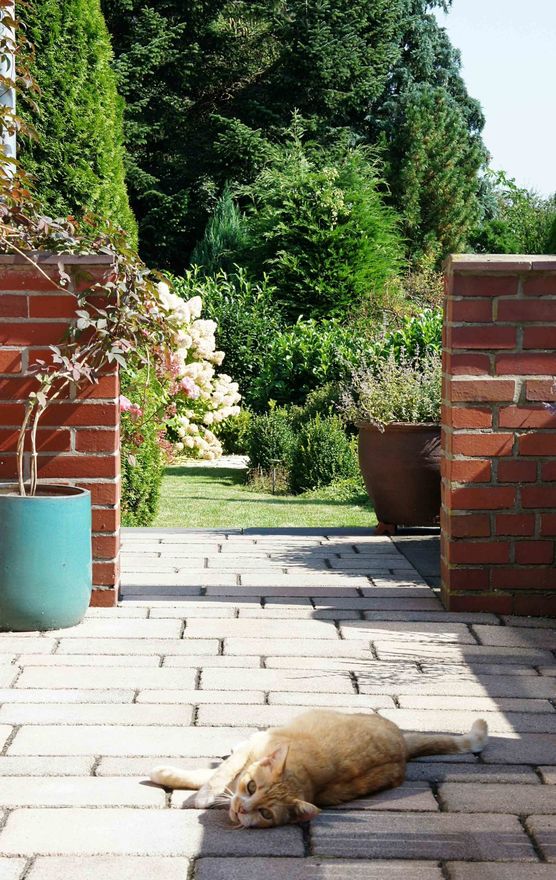 Bild von phthaloblau Bild von phthaloblau