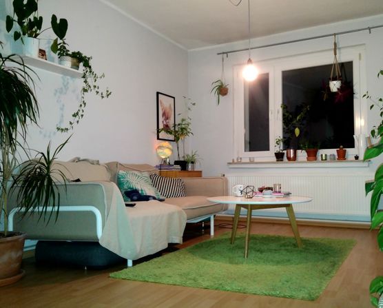 Morgendlicher Schnappschuss vom Wohnzimmer Morgendlicher Schnappschuss vom Wohnzimmer