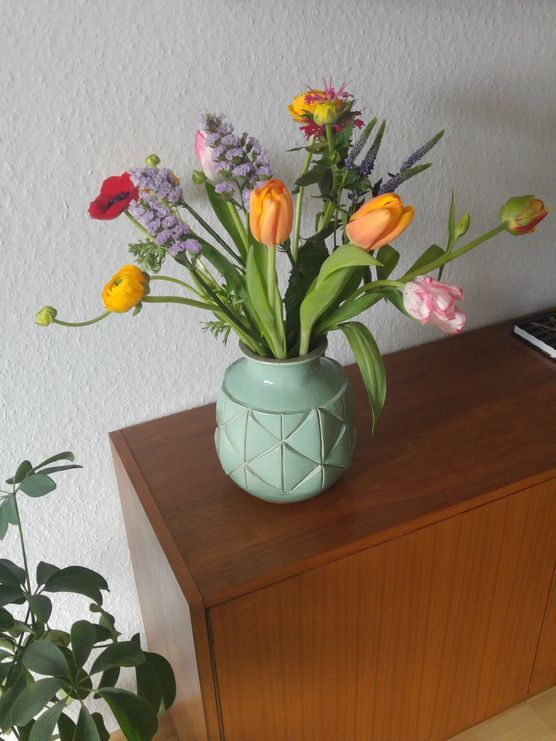 Frühlingsblumen Frühlingsblumen