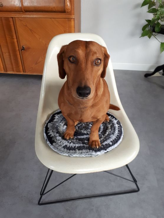 Wurst on Low Rod feat. Lumikello Wurst on Low Rod feat. Lumikello