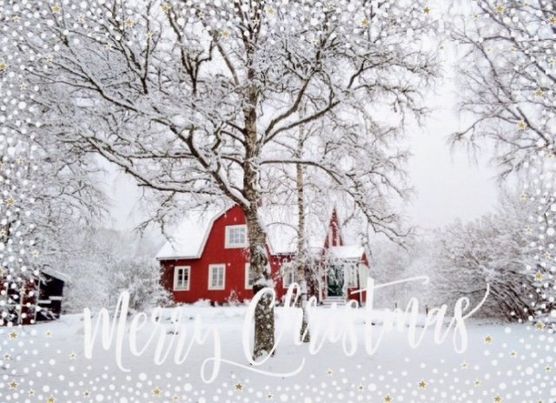 ✨ Ein friedliches, trotz ✨ Ein friedliches, trotz