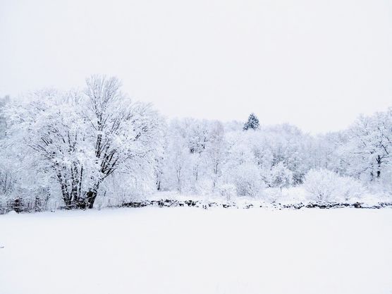 Ich brauche mal eure Ich brauche mal eure