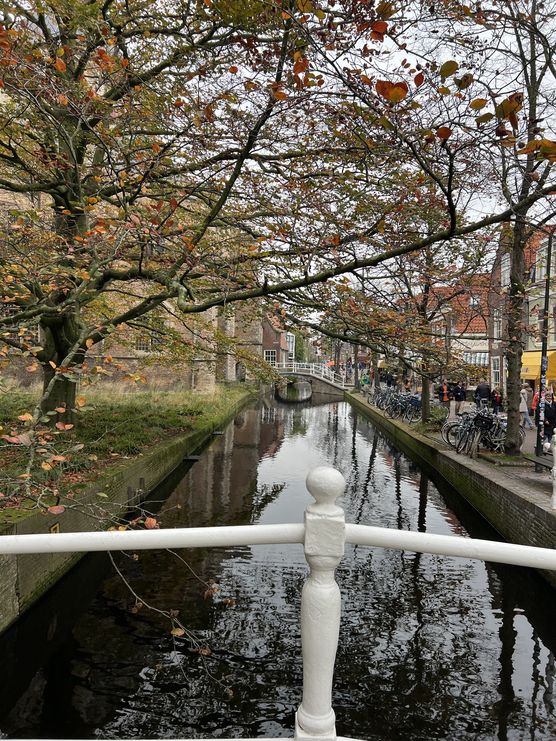 Novembergrüße aus Delft Novembergrüße aus Delft