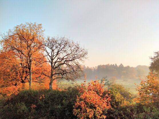Oktobermorgen Oktobermorgen