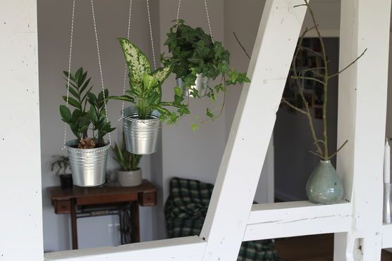 Ich konnte nicht anders Ich konnte nicht anders