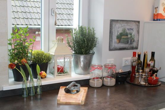 Lust auf Frühling und Kräuter Lust auf Frühling und Kräuter