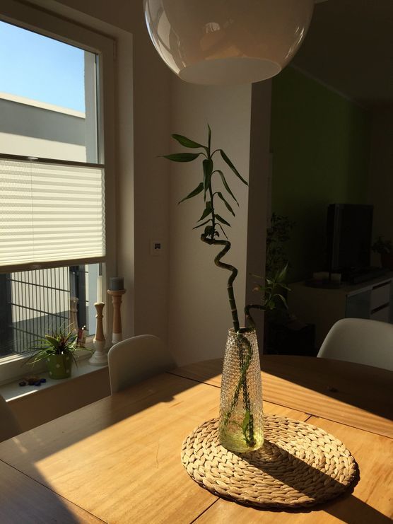 Die letzten Sonnenstrahlen Die letzten Sonnenstrahlen