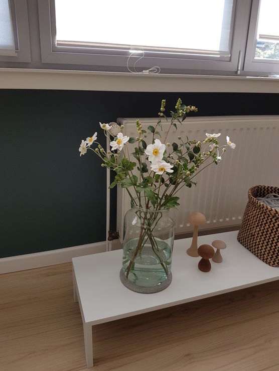 Herbstblumen im Hochsommer Herbstblumen im Hochsommer