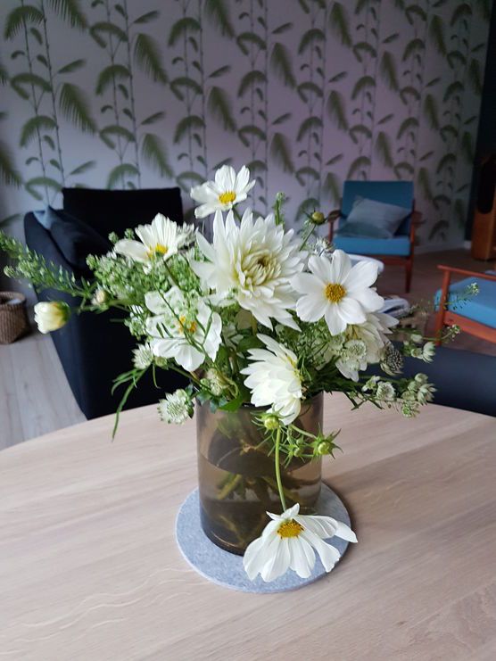 Frische Blumen Frische Blumen
