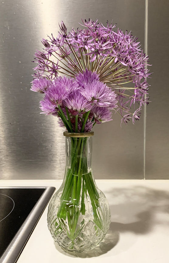 ... inspiriert von SeefahrerEnkelin ... inspiriert von SeefahrerEnkelin