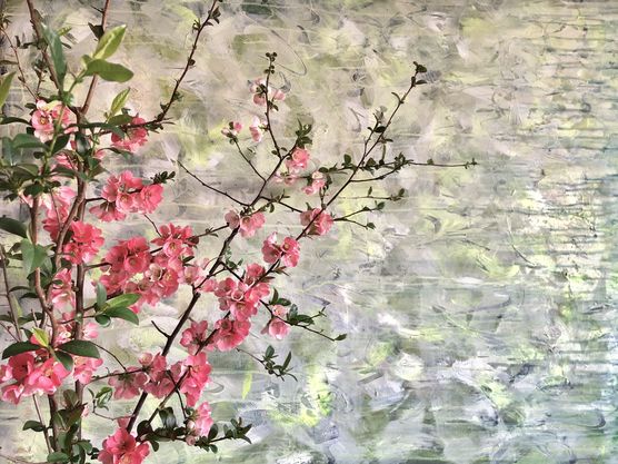 Ich liebe diese Zierquittenblüten Ich liebe diese Zierquittenblüten