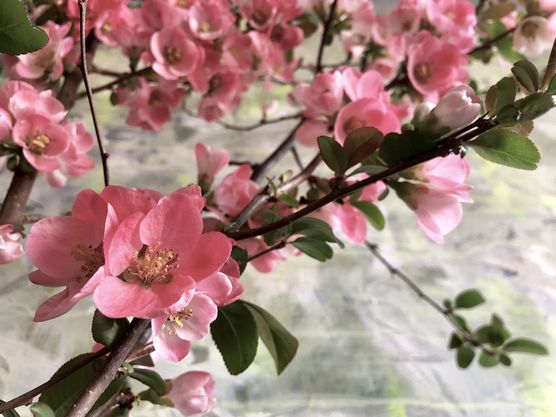 Und hier noch die Und hier noch die