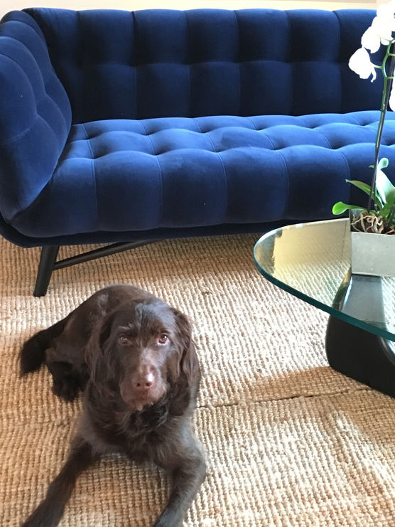 Unser neues Zuhause seit Unser neues Zuhause seit