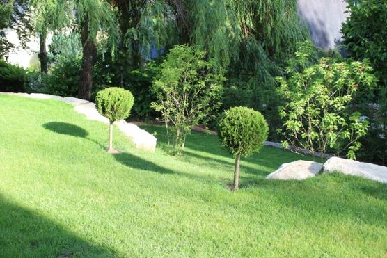 Fruehjahr 2014 Fruehjahr 2014