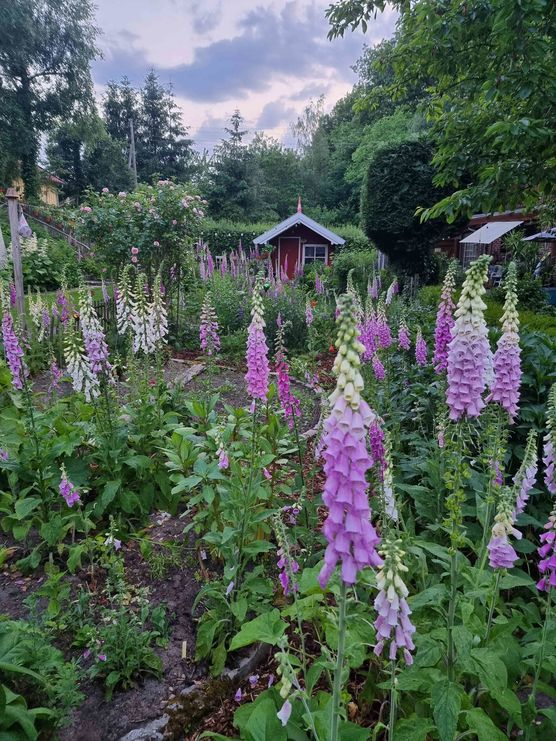 Bild von Katieshome Bild von Katieshome