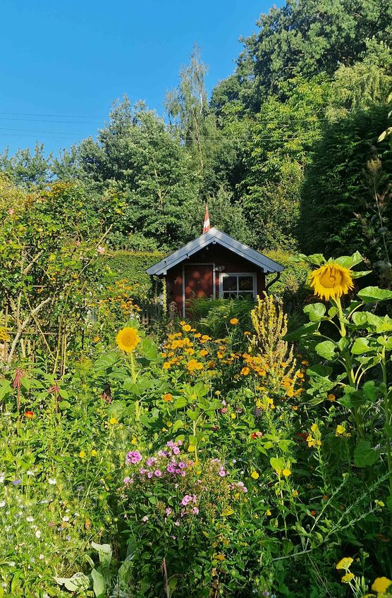 Bild von Katieshome Bild von Katieshome