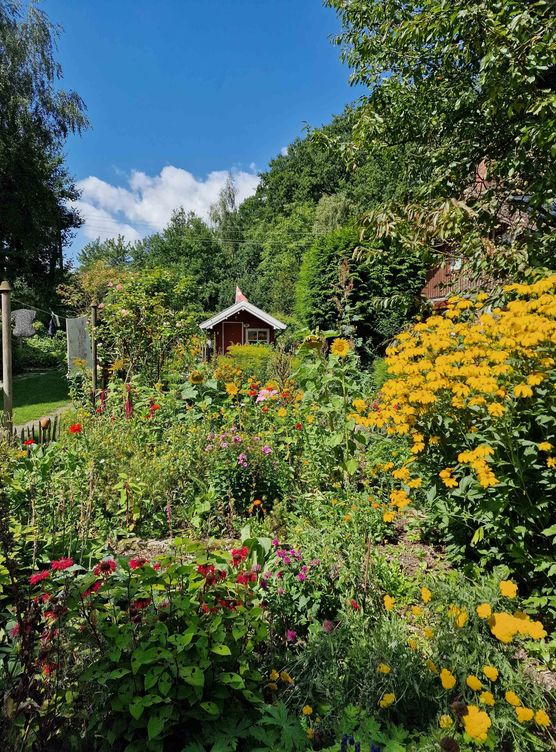 Bild von Katieshome Bild von Katieshome