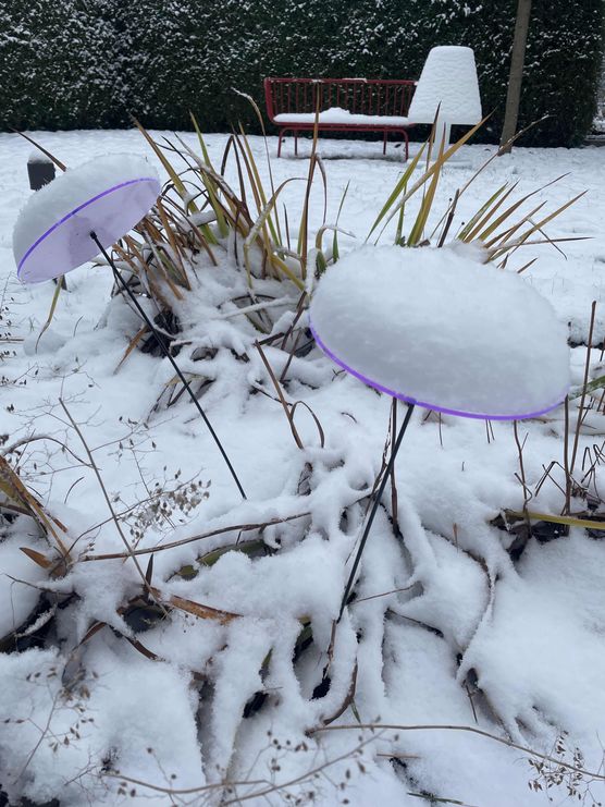 Bild von Monki Bild von Monki