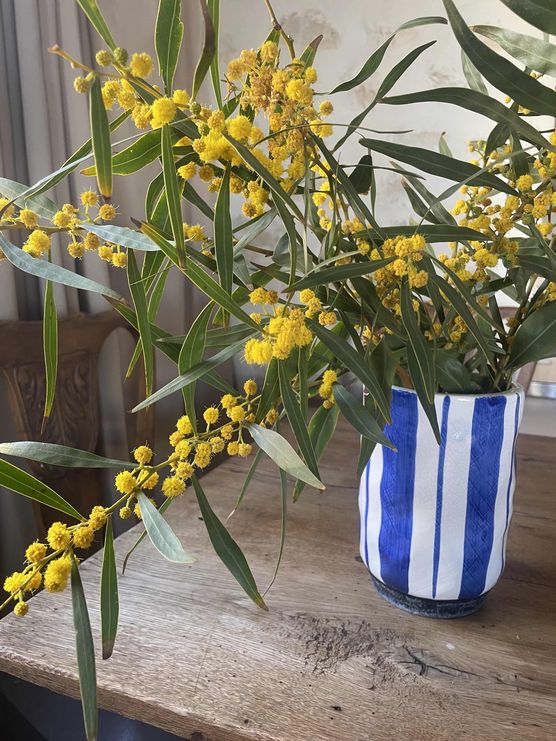 Bild von Monki Bild von Monki