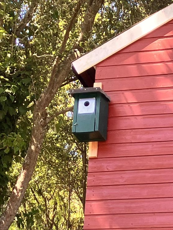 Bild von Dundee Bild von Dundee