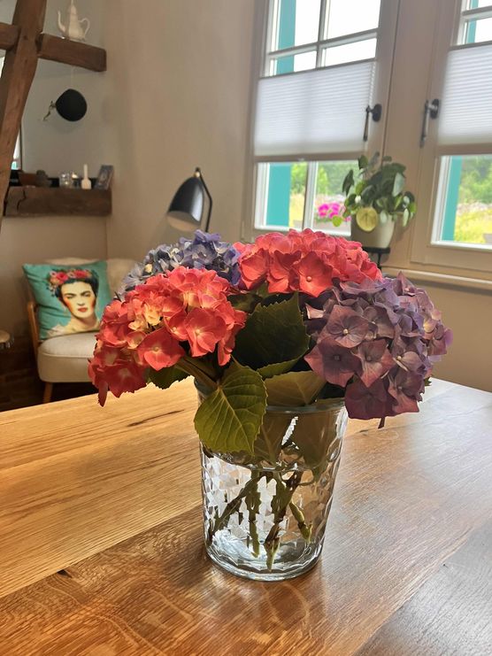 Bild von Dundee Bild von Dundee