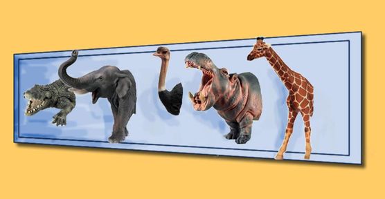 Pinnwand von vioma Pinnwand von vioma